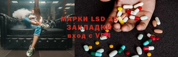 ГАЛЛЮЦИНОГЕННЫЕ ГРИБЫ Алексеевка