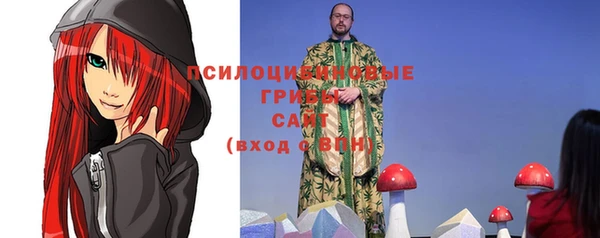 ГАЛЛЮЦИНОГЕННЫЕ ГРИБЫ Алексеевка