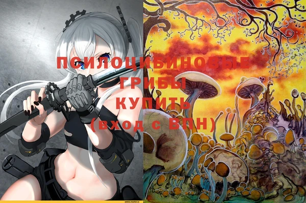 ГАЛЛЮЦИНОГЕННЫЕ ГРИБЫ Алексеевка