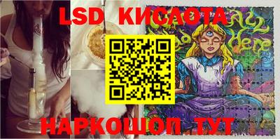 прущие грибы Севастополь