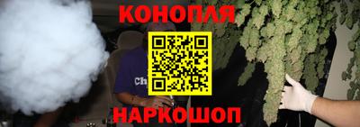 прущие грибы Севастополь