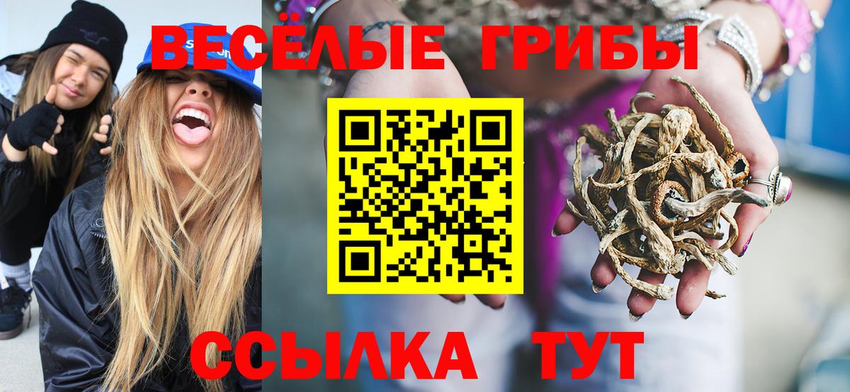 Тосно  цены наркотик  Псилоцибиновые грибы ЛСД  Вход с VPN  Галлюциногенные грибы Cubensis 